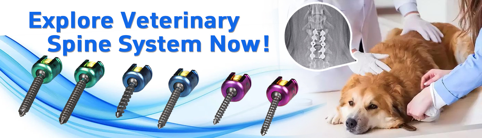 Veterinary Spinal Pedicle Screws For Dog And Cat Spine Surgery Use