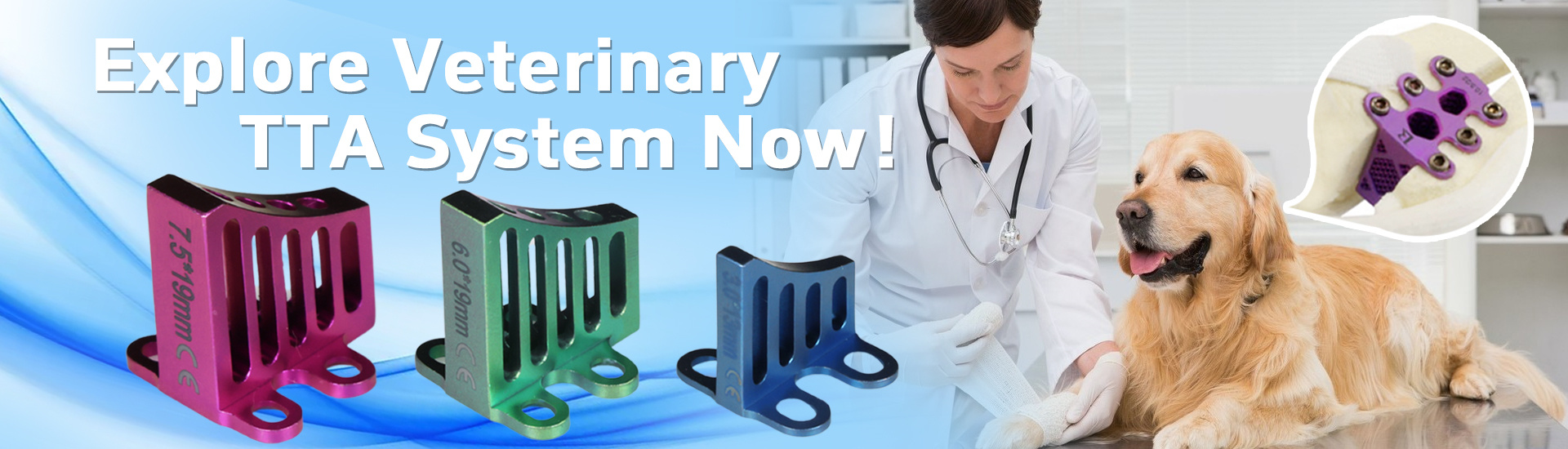 Veterinary Orthopedic Implants TTA Rapid Cage for Animals Surgery