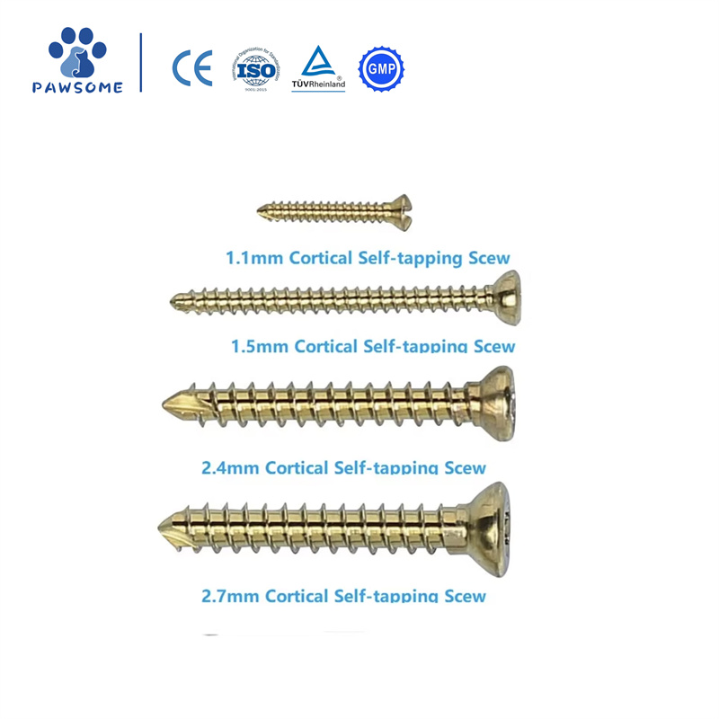 Veterinary Cortical Screw01.jpg