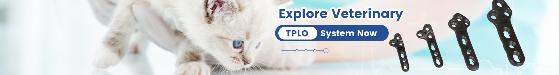 Multi Tool Saw Cordless